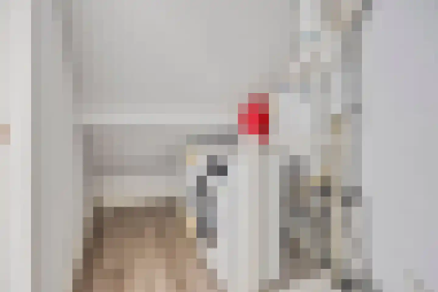 Boekweit 13 Mierlo thumbnail 30