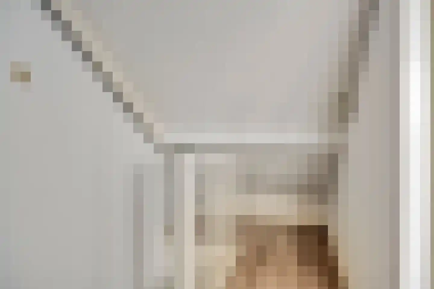 Boekweit 13 Mierlo thumbnail 31