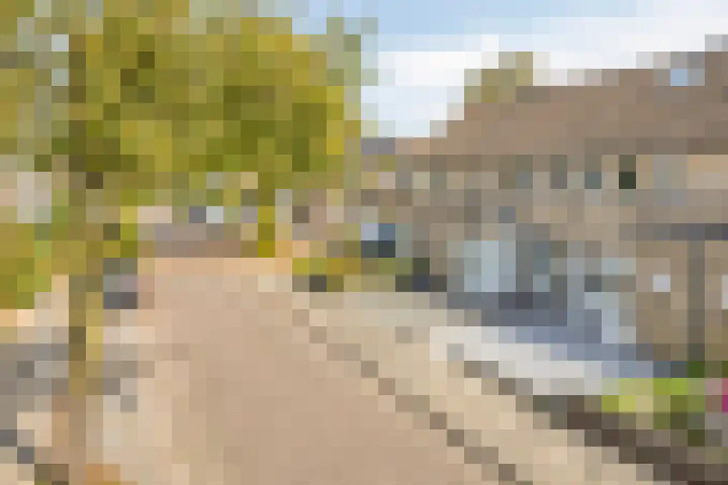 Boekweit 13 Mierlo thumbnail 43