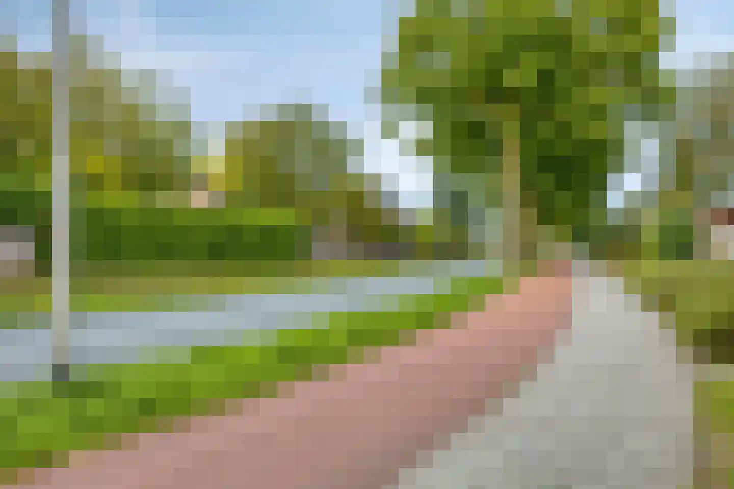 Boekweit 13 Mierlo thumbnail 44