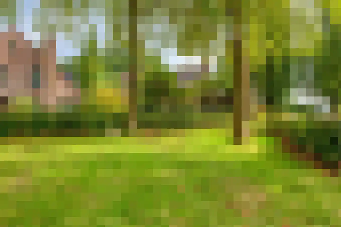 Boekweit 13 Mierlo thumbnail 45