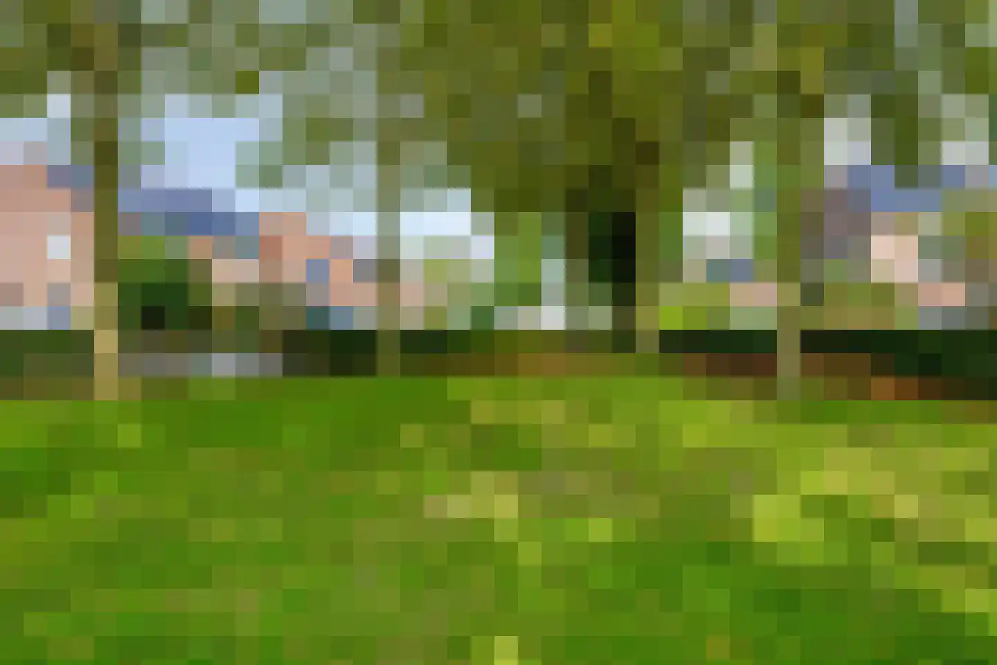Boekweit 13 Mierlo thumbnail 46