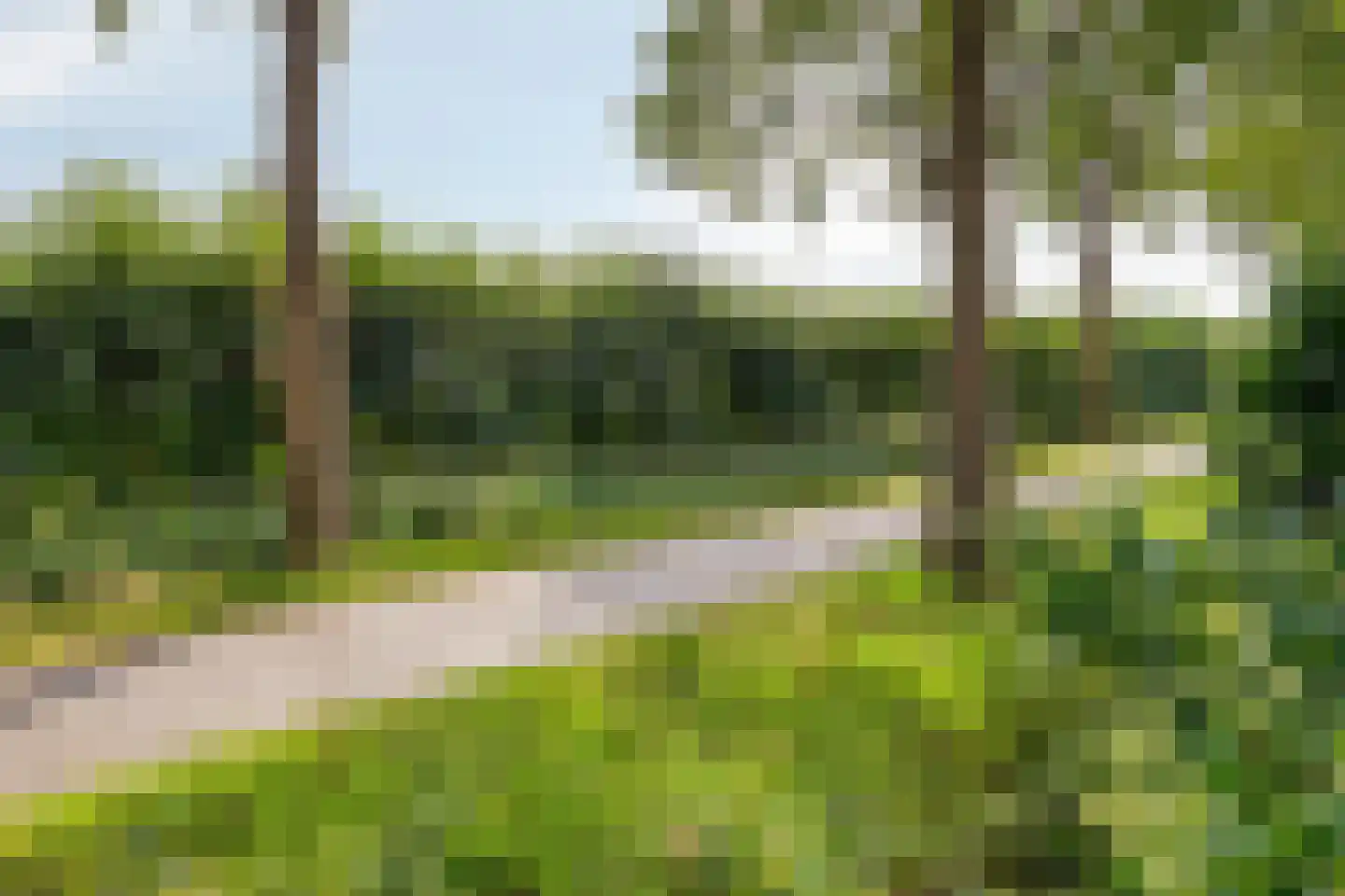 Boekweit 13 Mierlo thumbnail 47