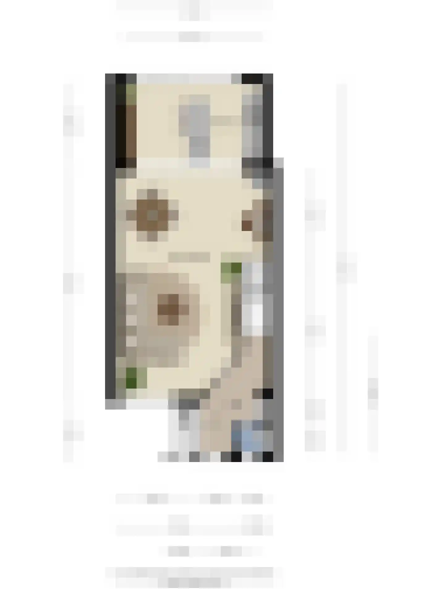 Boekweit 13 Mierlo thumbnail 48