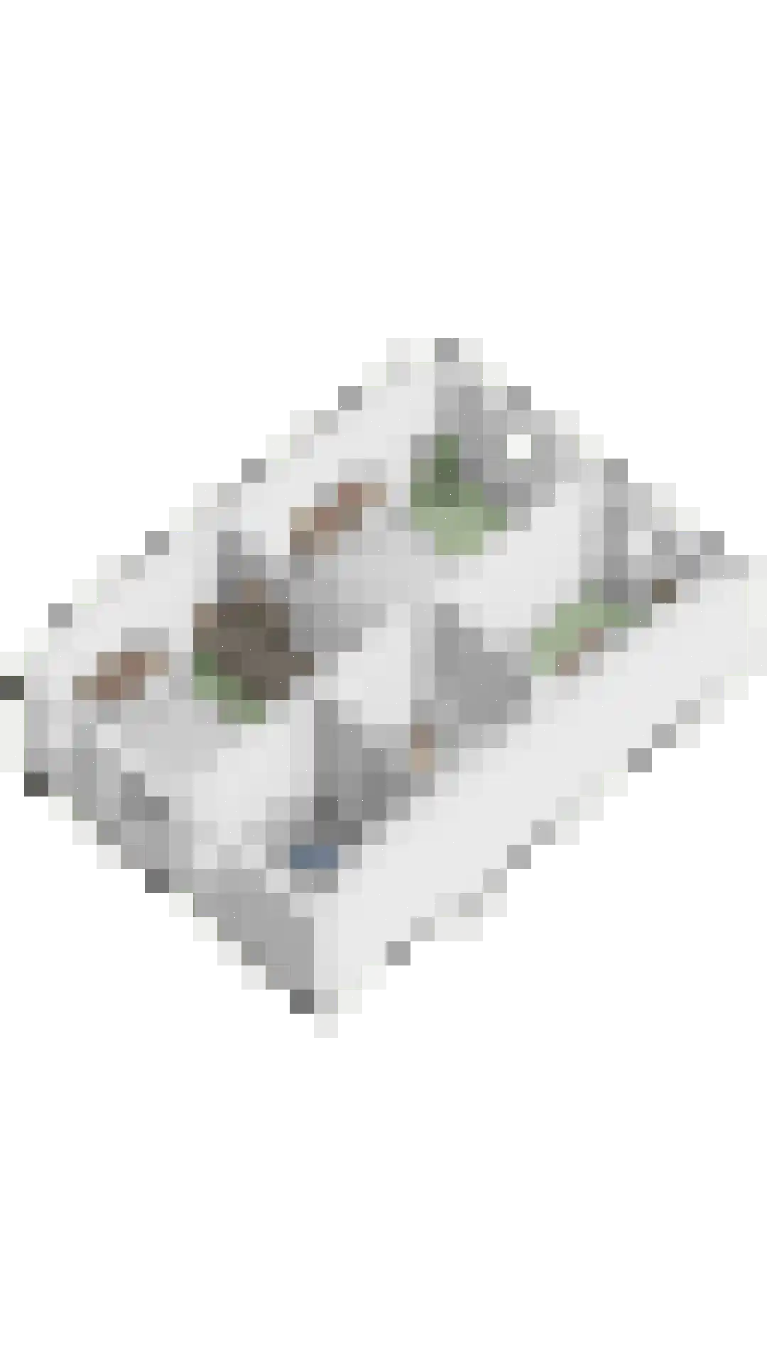 Boekweit 13 Mierlo thumbnail 51
