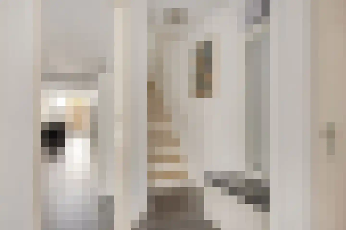 Boekweit 13 Mierlo thumbnail 8