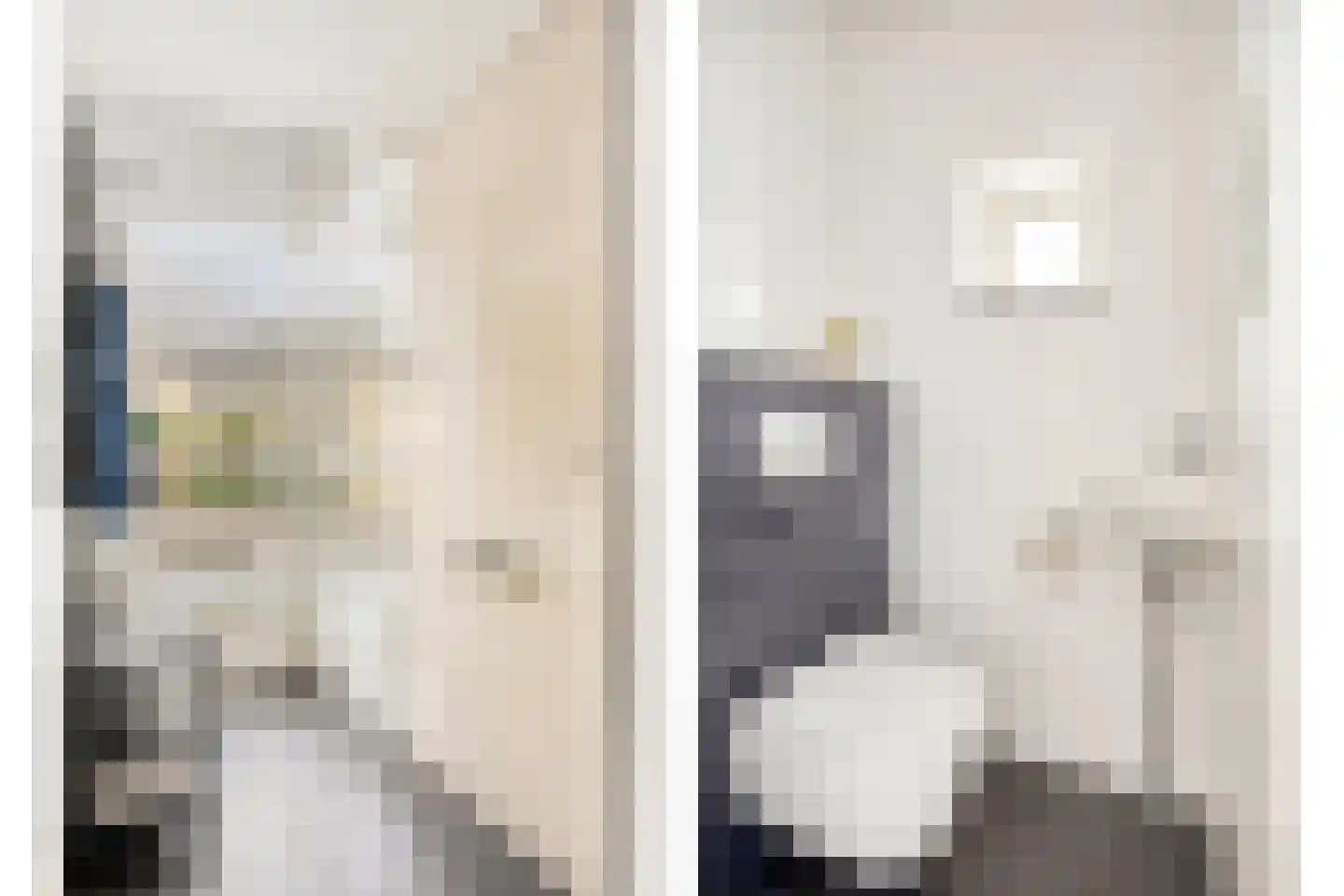 Boekweit 13 Mierlo thumbnail 9