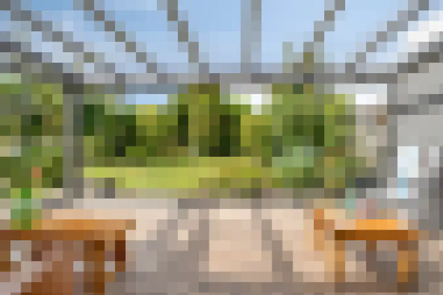 Boekweit 20 Borne thumbnail 21