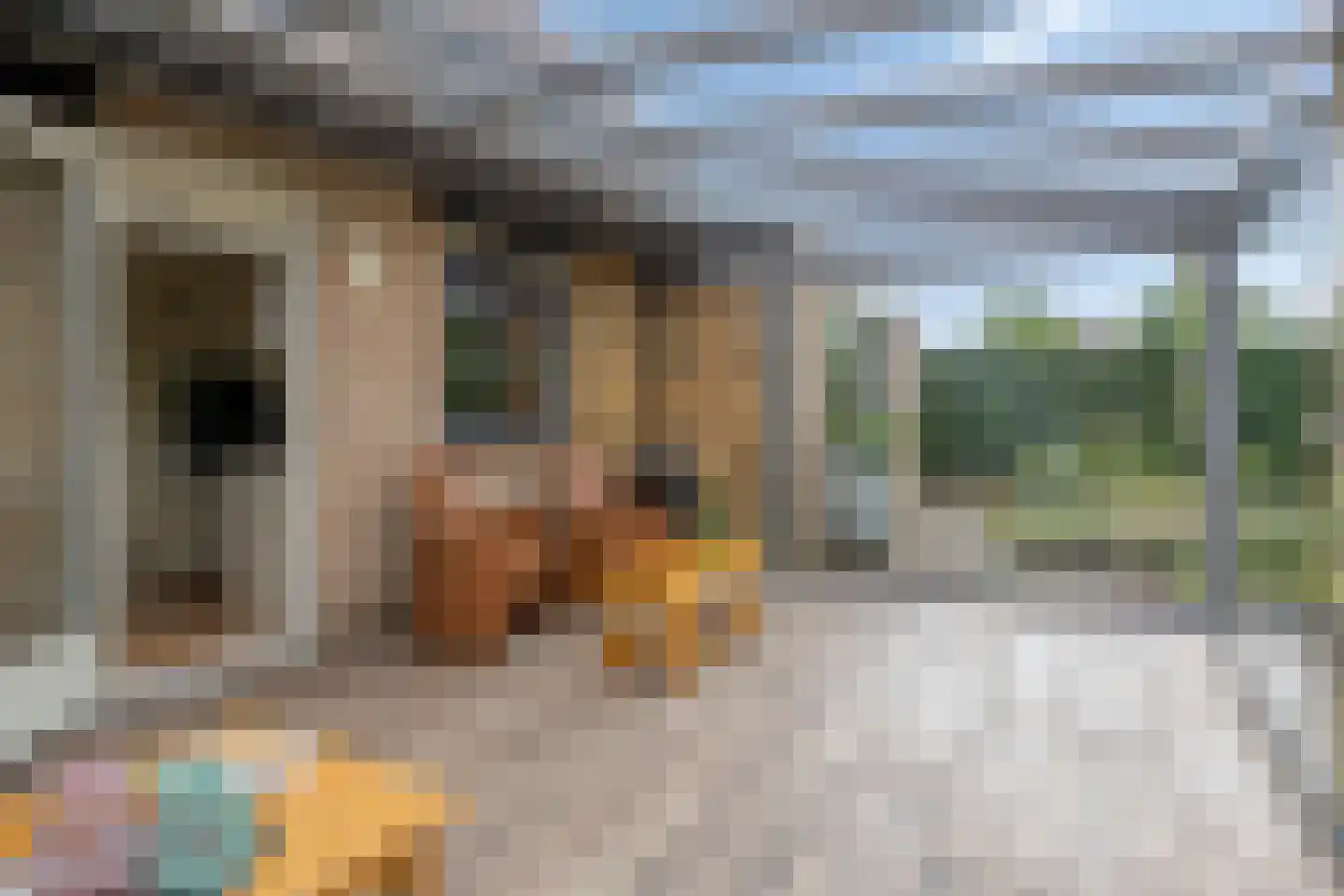Boekweit 20 Borne thumbnail 22