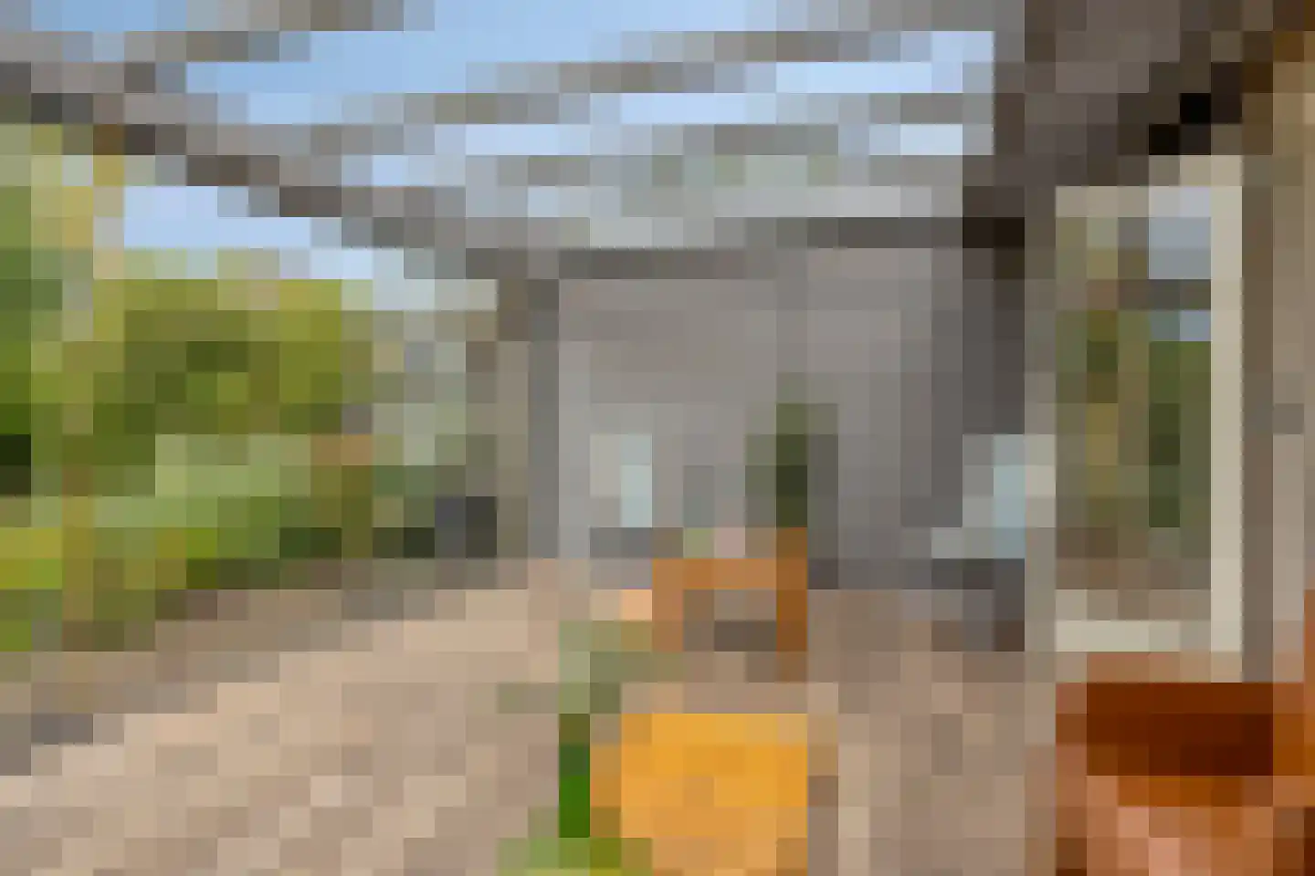 Boekweit 20 Borne thumbnail 23