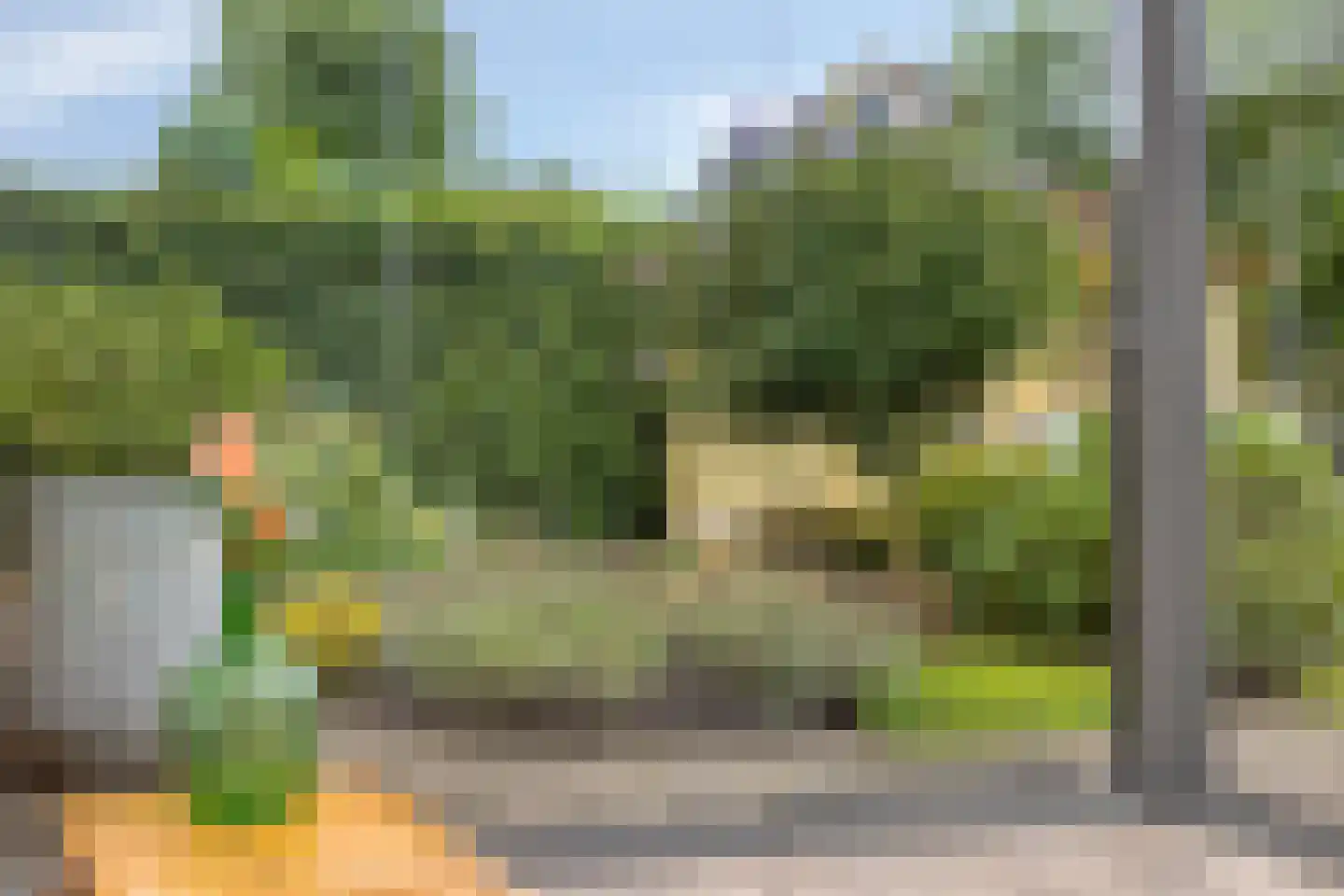Boekweit 20 Borne thumbnail 24