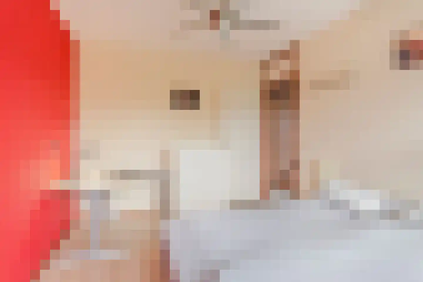 Boekweit 20 Borne thumbnail 32