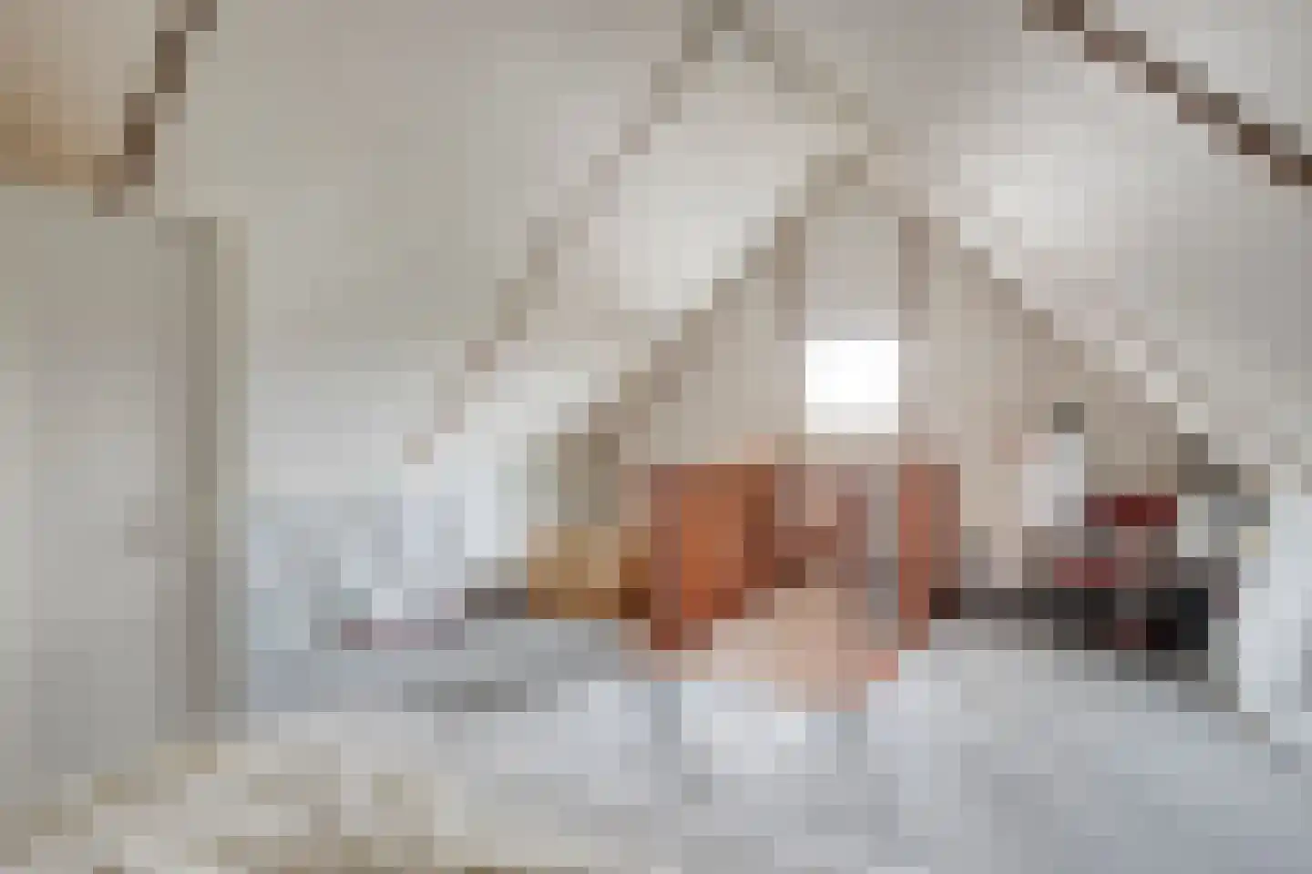Boekweit 20 Borne thumbnail 36