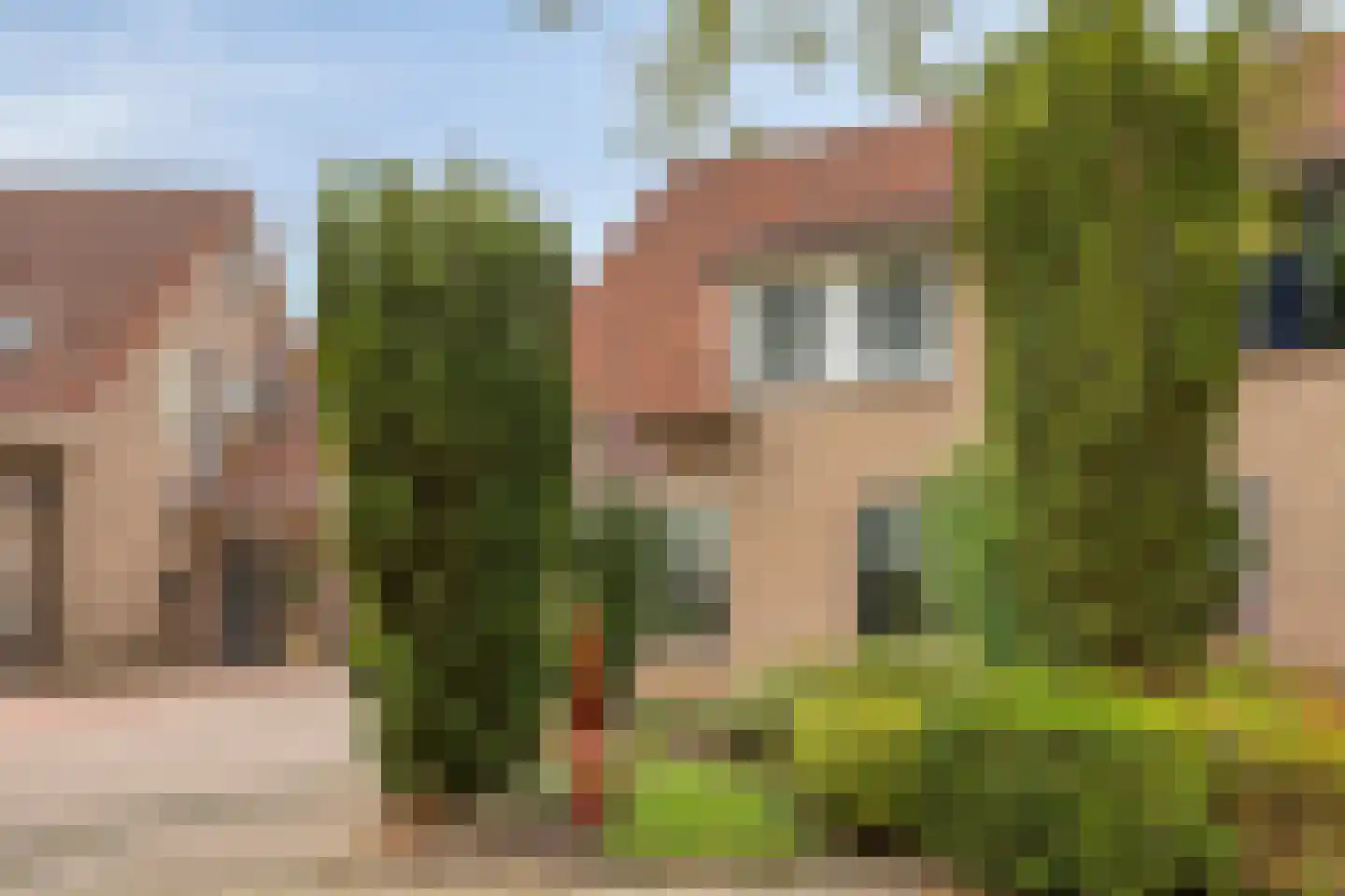 Boekweit 20 Borne thumbnail 40
