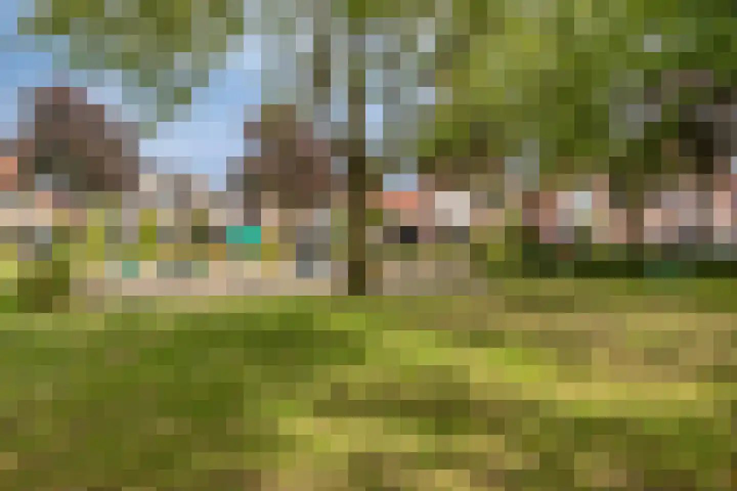 Boekweit 20 Borne thumbnail 43