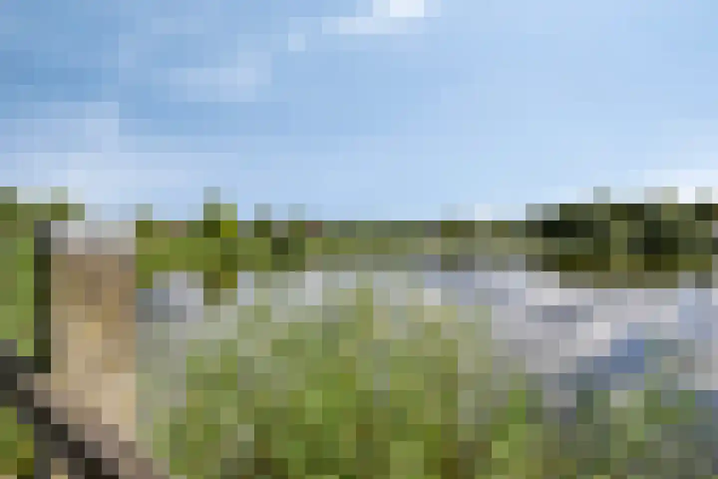 Boekweit 20 Borne thumbnail 44