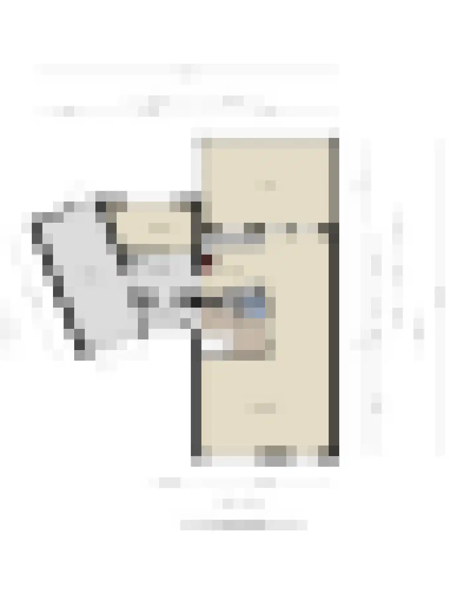 Boekweit 20 Borne thumbnail 45