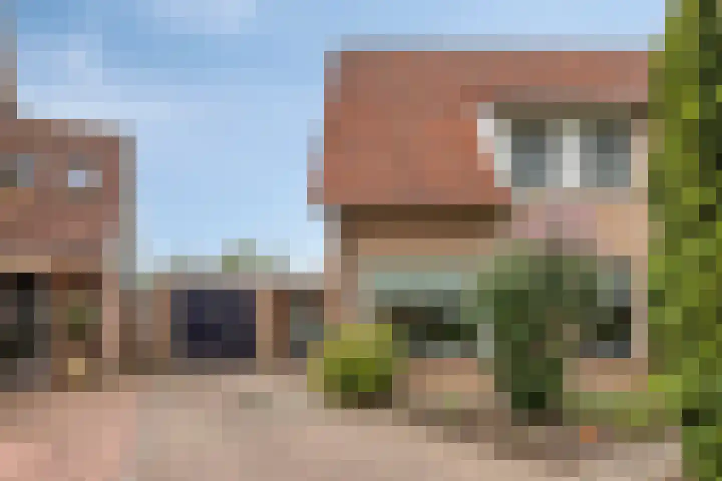 Boekweit 20 Borne thumbnail 7