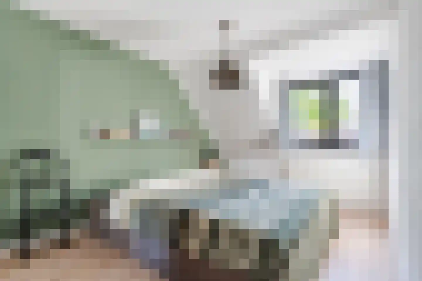 Boekweit 22 Eersel thumbnail 23