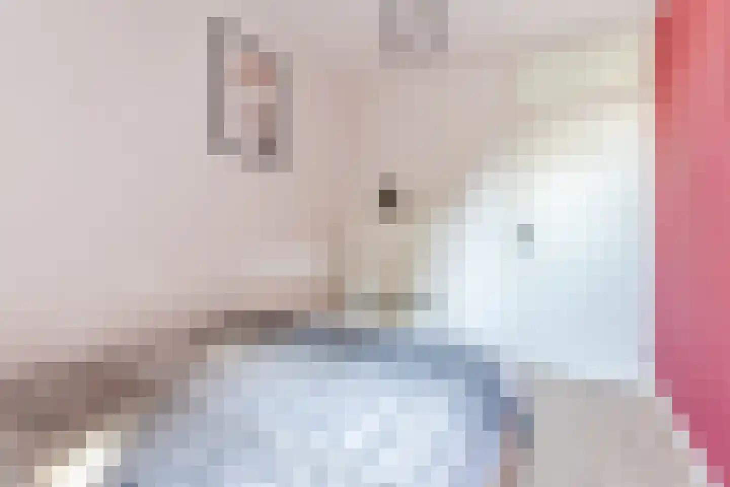 Boekweit 22 Eersel thumbnail 28