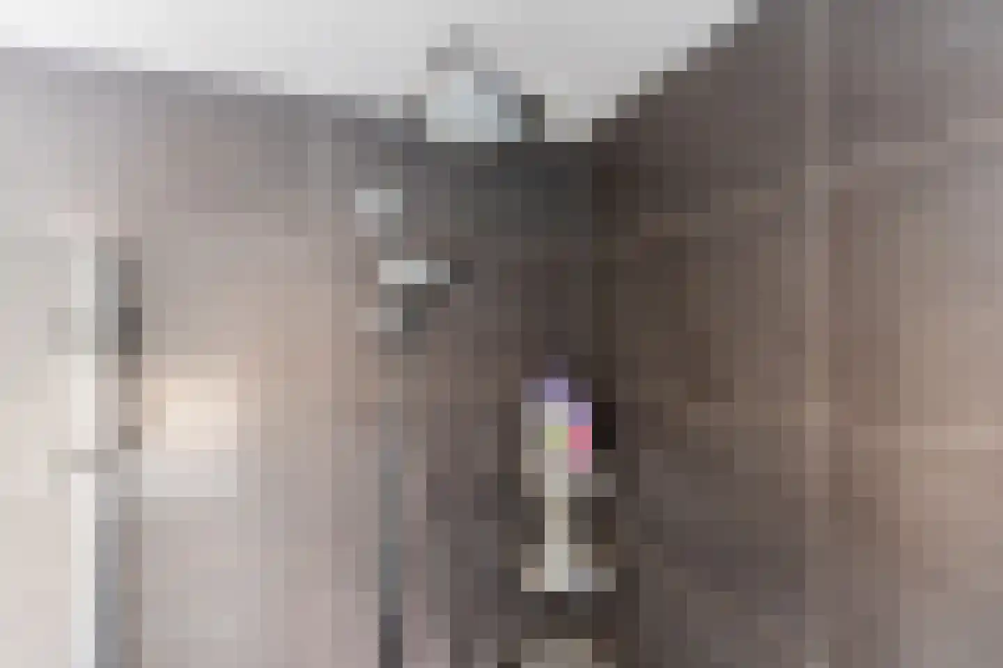 Boekweit 22 Eersel thumbnail 31
