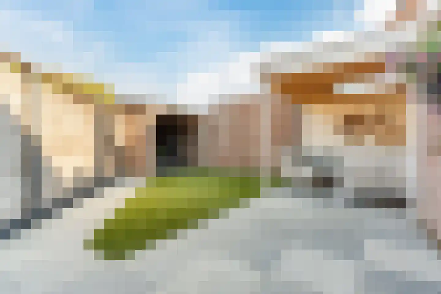Boekweit 22 Eersel thumbnail 39