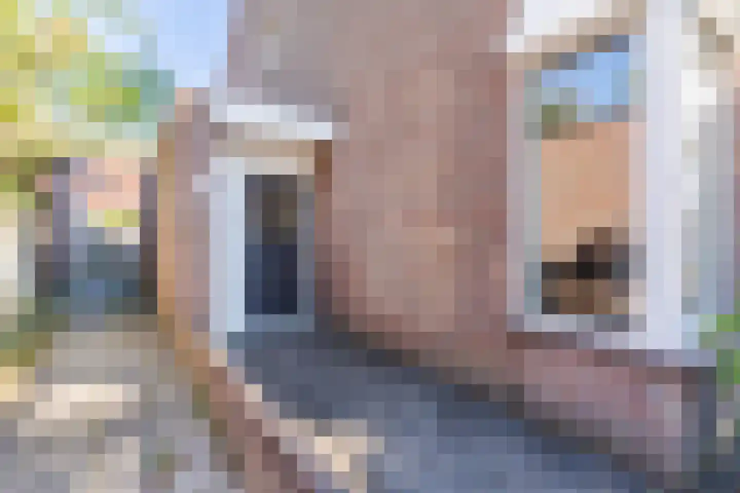 Boekweit 22 Eersel thumbnail 4