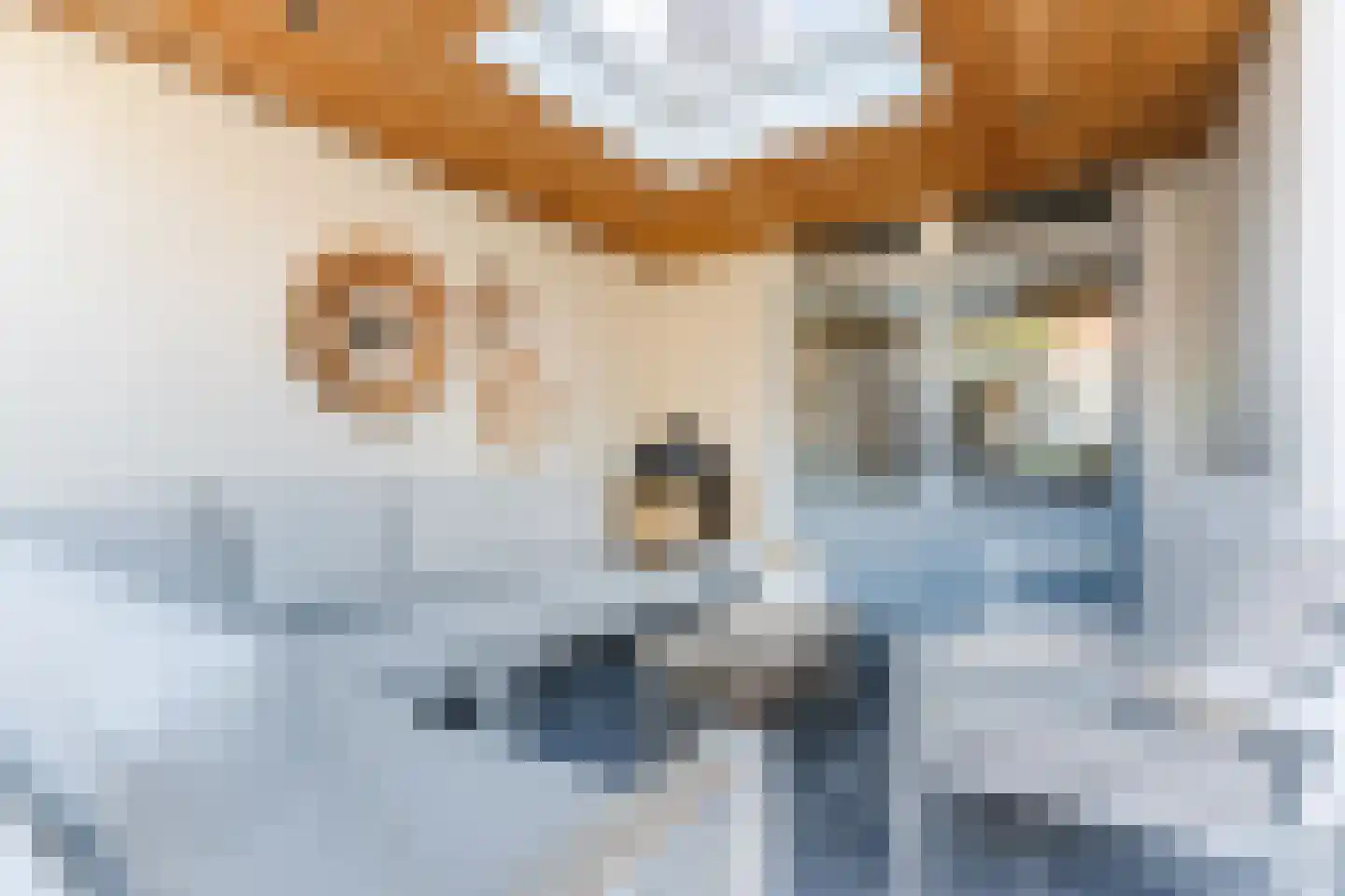 Boekweit 22 Eersel thumbnail 40