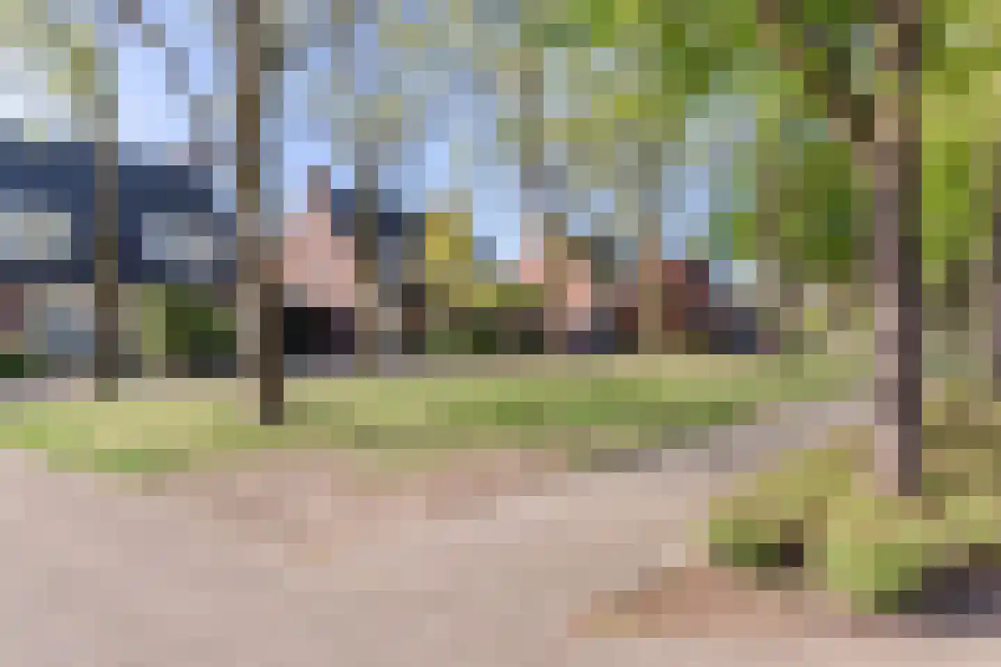 Boekweit 22 Eersel thumbnail 48