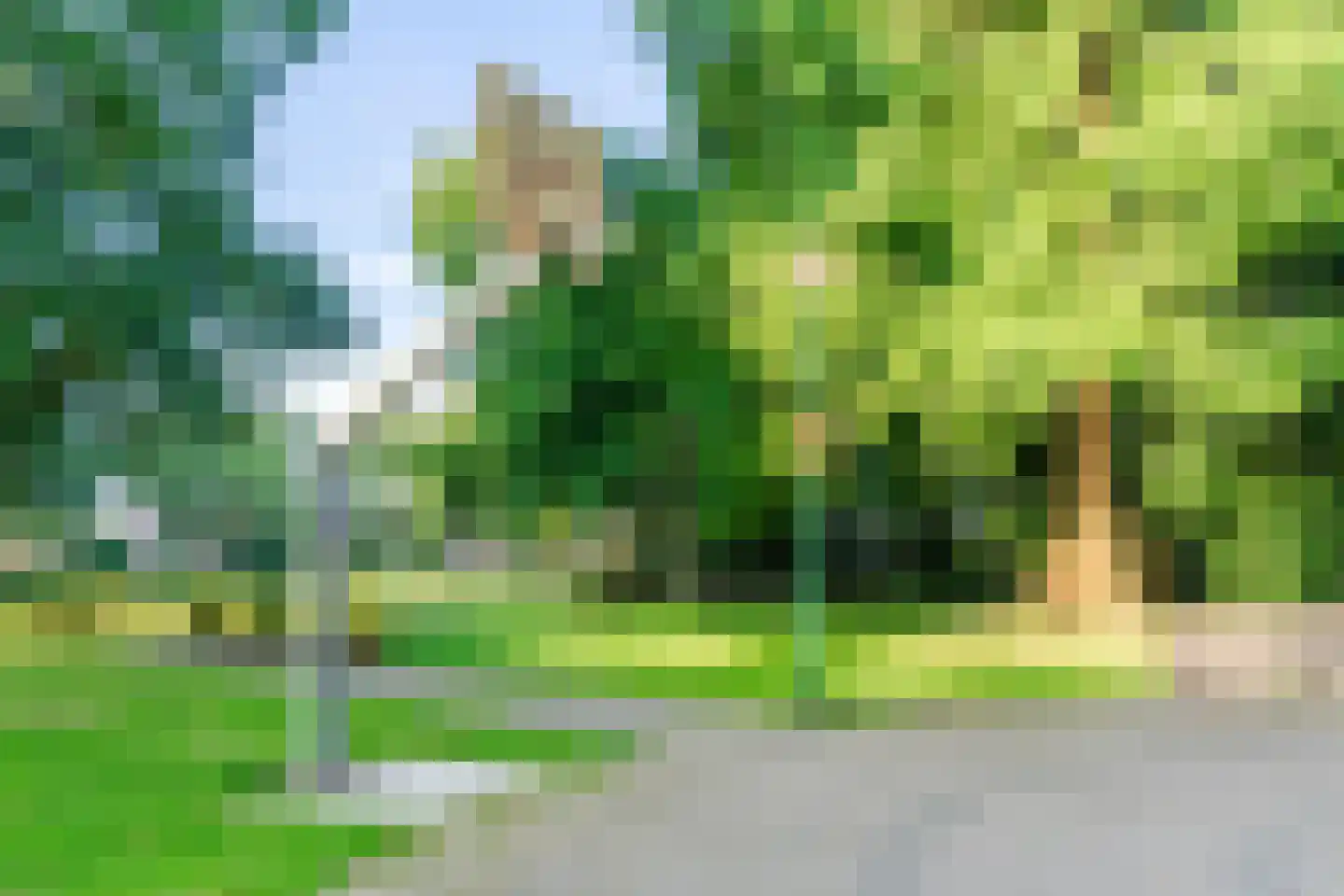 Boekweit 22 Eersel thumbnail 49