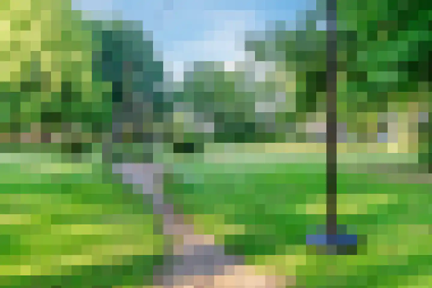 Boekweit 22 Eersel thumbnail 50