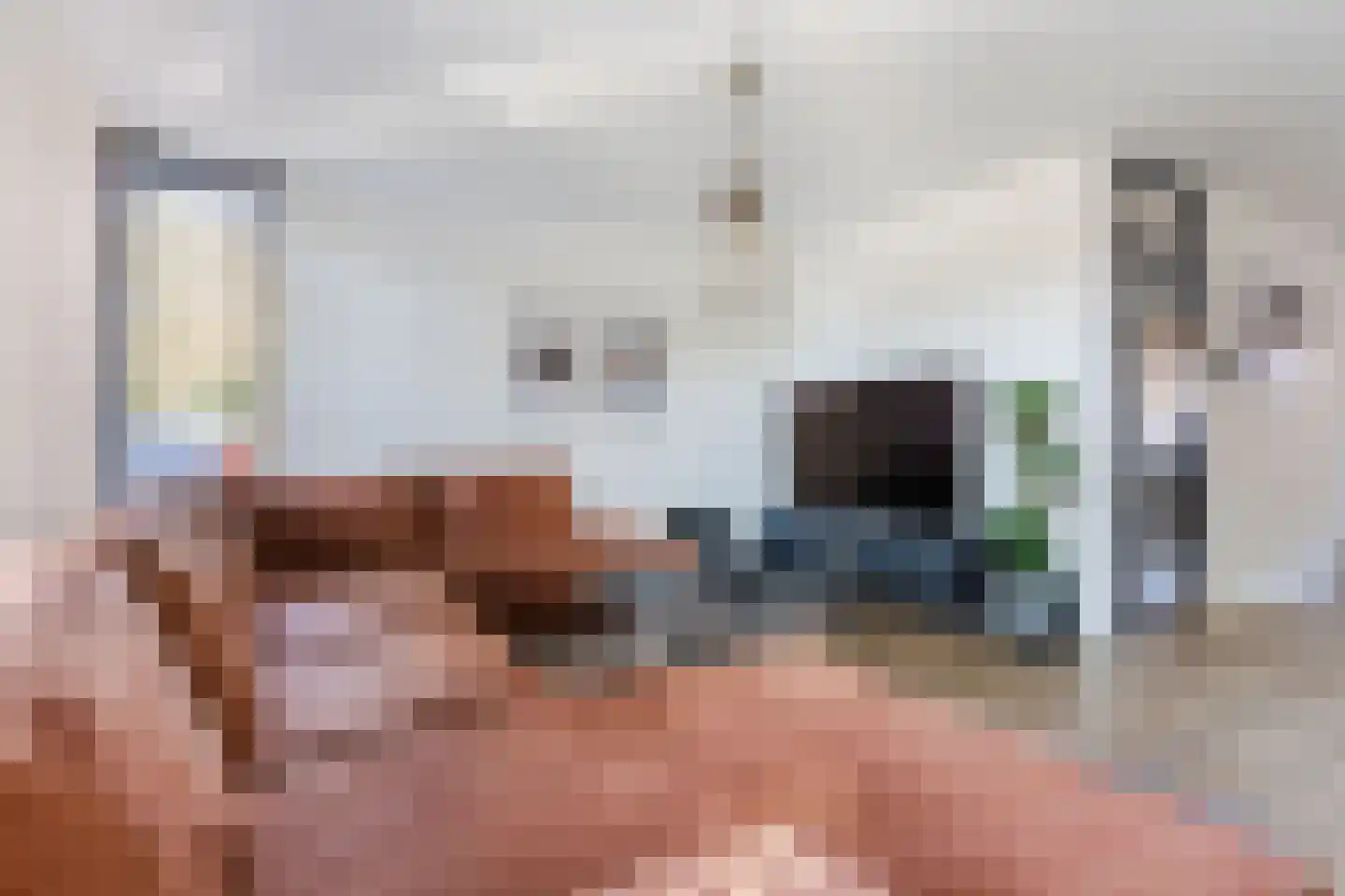 Boekweit 22 Eersel thumbnail 9