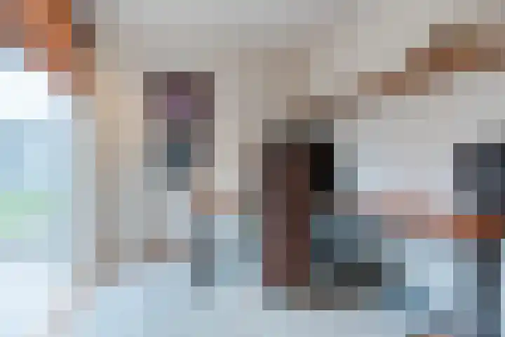 Boekweit 22 Mierlo thumbnail 22