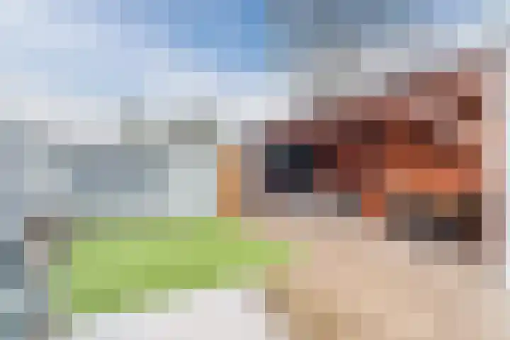 Boekweit 22 Mierlo thumbnail 37