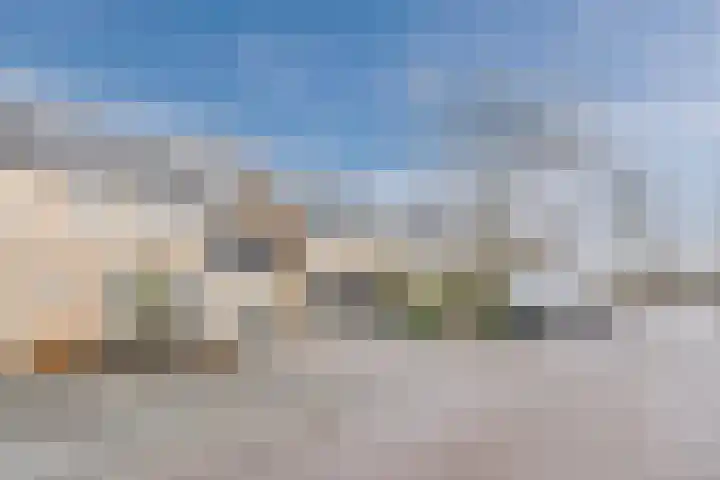 Boekweit 22 Mierlo thumbnail 41