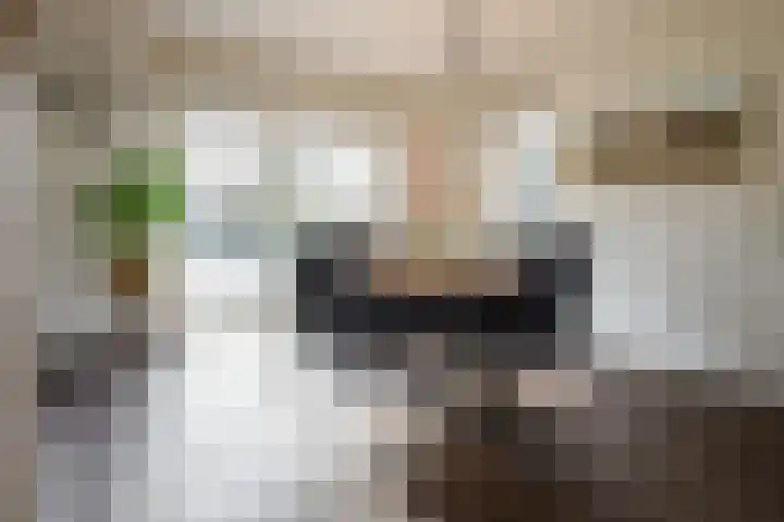 Boekweit 30 Borne thumbnail 11