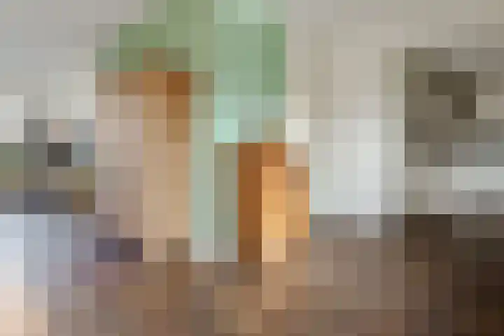 Boekweit 30 Borne thumbnail 14