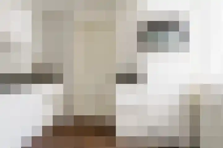 Boekweit 30 Borne thumbnail 16