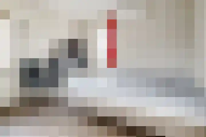 Boekweit 30 Borne thumbnail 23