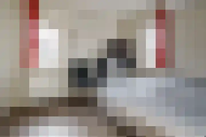 Boekweit 30 Borne thumbnail 24