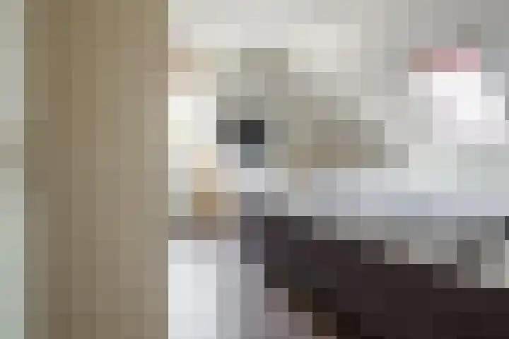Boekweit 30 Borne thumbnail 25