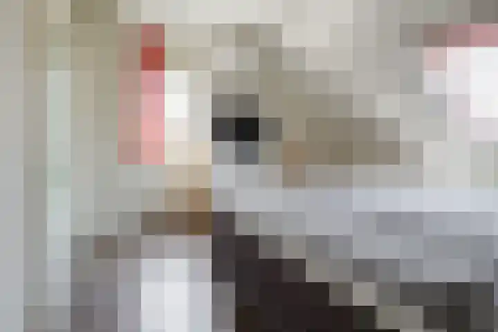 Boekweit 30 Borne thumbnail 26