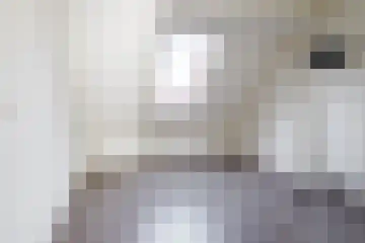 Boekweit 30 Borne thumbnail 29