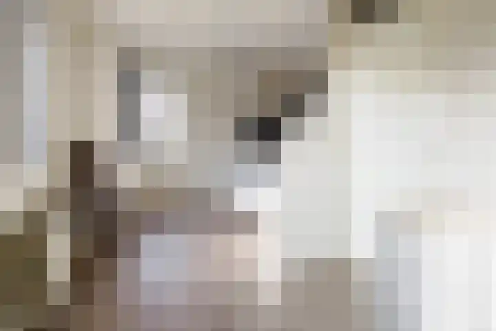Boekweit 30 Borne thumbnail 32