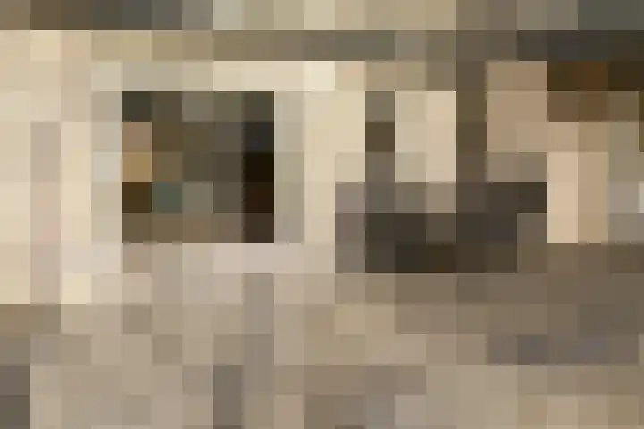 Boekweit 30 Borne thumbnail 37