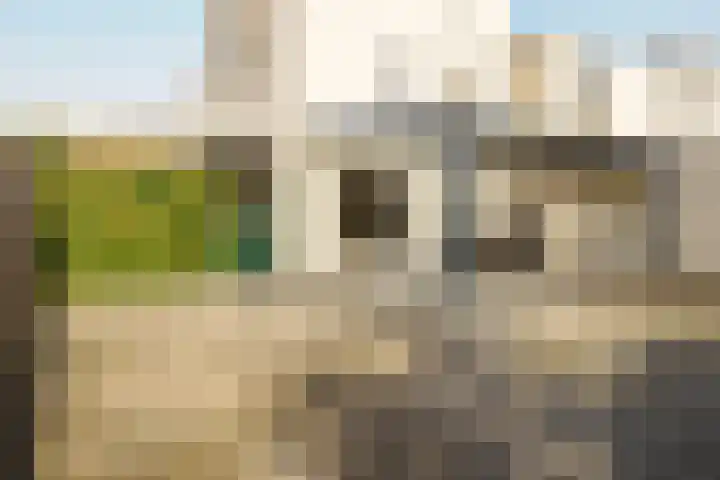 Boekweit 30 Borne thumbnail 38