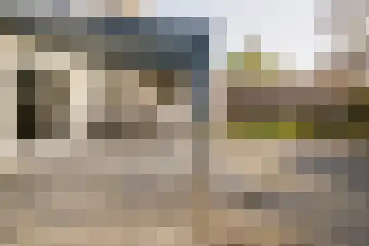 Boekweit 30 Borne thumbnail 39