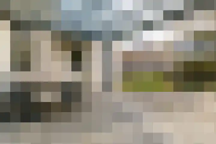 Boekweit 30 Borne thumbnail 4