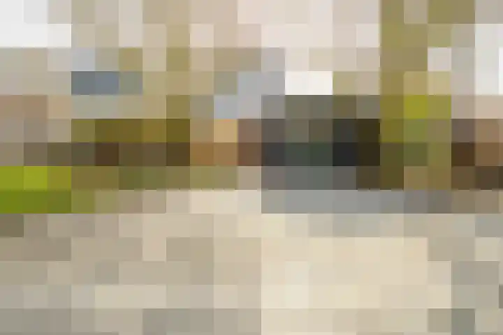 Boekweit 30 Borne thumbnail 40