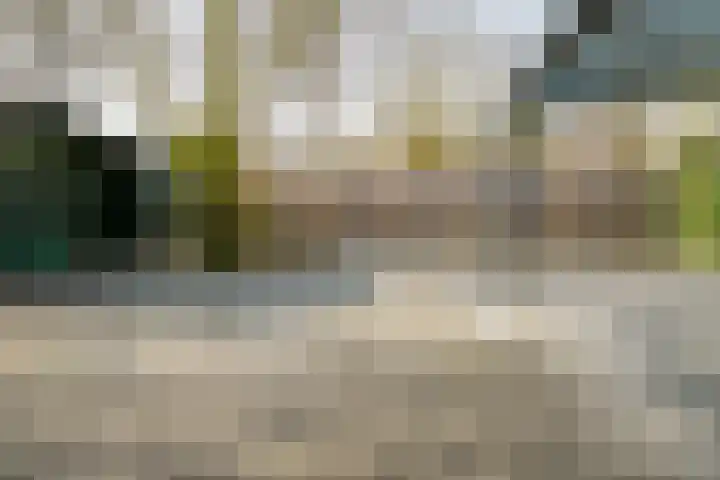 Boekweit 30 Borne thumbnail 41